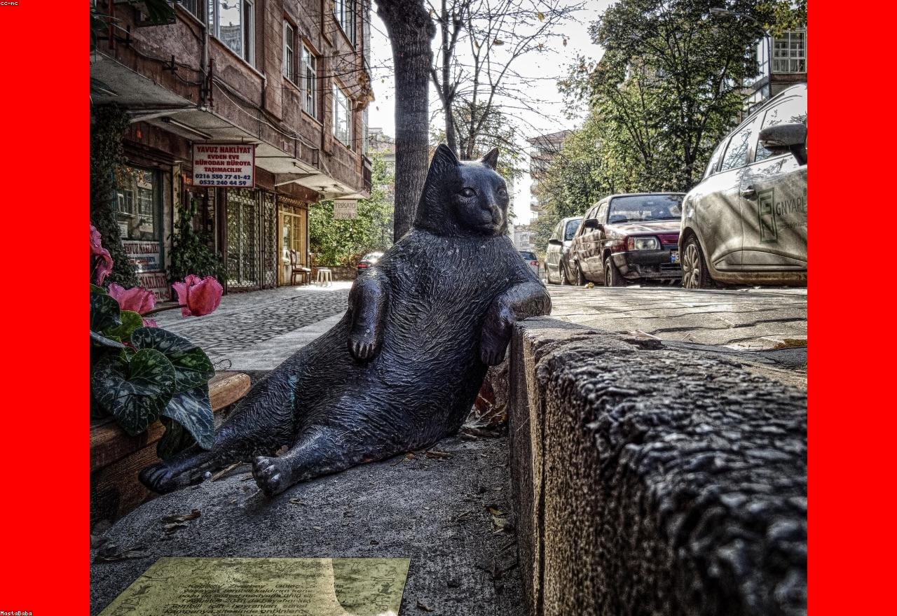 Tarot reader portrait